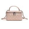 Bolso de mano Lingge 2024 Invierno Nuevo Versátil Simple Elegante Bolso Cuadrado Pequeño Ins Bolso de Hombro Cruzado