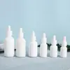 5-100ml atacado porcelana branca vidro frasco de óleo essencial embalagem de cosméticos frasco conta-gotas branco escuro frasco de essência líquida