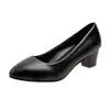 Zapatos profesionales de tacón grueso y punta fina para mujer 2024, zapatos de trabajo versátiles, tacones altos de nuevo estilo, zapatos de salón, zapatos de cuero negros de tacón bajo para mujer