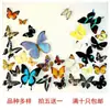 Especímenes Tridimensionales de Mariposas e Insectos Reales para la Educación Científica Infantil en Jardines de Infancia, con Alas Extendidas, Diseño de Estilo Fotográfico 1