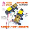 Accesorios para Pulverizador Eléctrico Agrícola Interruptor Controlador de Velocidad para Bomba de Agua Interruptor Universal 12V para Bomba de Agua Bomba de Agua Bomba Pulverizadora