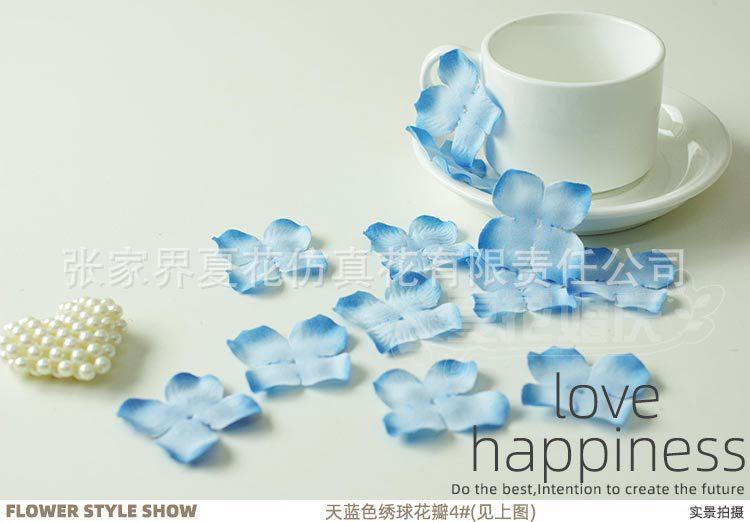 绣球花瓣3#_17.jpg