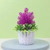 Ornaments de sala de estar de casa minimalista moderna pequenas decorações flor verde plantas verdes flores artificiais decorativas mesa armário de vinho
