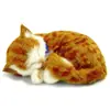 Perfect Petzzz (filhotes) Gato Laranja Tigrado