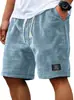 2026 Novos Shorts Casuais Waffle Masculinos de Verão Soltos Respiráveis de Comprimento Médio Tendência Americana Roupas Masculinas