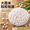 Pérolas de sagu grandes selecionadas, cheias e macias, para ingredientes de bebidas doces, matérias-primas para sobremesas à base de grãos, fornecimento do fabricante, atacado e varejo