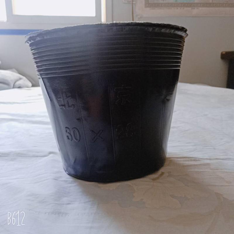 微信图片_20200605102918