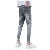 Jeans para Hombre Verano Moda Marca Estilo Coreano Ajustados Moda Simple Verano Delgados Rasgados Pantalones de Pierna Verano