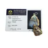 Marca Budista Tailandesa 2495 Mini Shangjiacai Original Templo Marca Auténtica Tailandesa