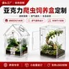 Caja de cría acrílica para reptiles, recinto transparente a prueba de escapes y transpirable para geckos, arañas, lagartijas y otros reptiles, personalizable