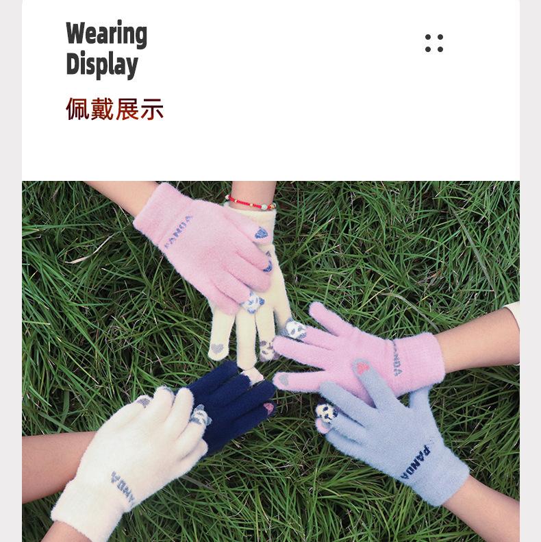 小熊猫触碰保暖手套 (12).jpg