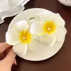 Pinza para el Cabello con Flores Marinas Estilo Nuevo 2026 para Mujer, Pinza Lateral de Alta Gama, Pinza para el Pelo Exquisita Estilo Vacaciones para Niña, Accesorio para el Cabello