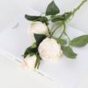 3 Rosa de Austin Rosa Vintage Flor Artificial Flor Seca Rosa Flor Falsa Decoração de Casa Sala de Estar Casamento Flor