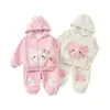 Conjunto de sudadera con capucha bordada de gatito lindo para niños pequeños y niños pequeños, con un dulce diseño de lazo a cuadros, perfecto para salidas casuales