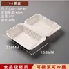 Caja de Embalaje Caja para Hot Dog Caja para Postre Caja de Almuerzo Rectangular Caja de Almuerzo Pulpa Biodegradable Comercial Conectada para Llevar