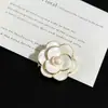 Broche de Novo Estilo Transfronteiriço, Corsage Colorido para Mulheres, Alfinete Exquisito, Estilo Retrô Europeu e Americano, Acessório para Terno, Joia Anti-Exposição
