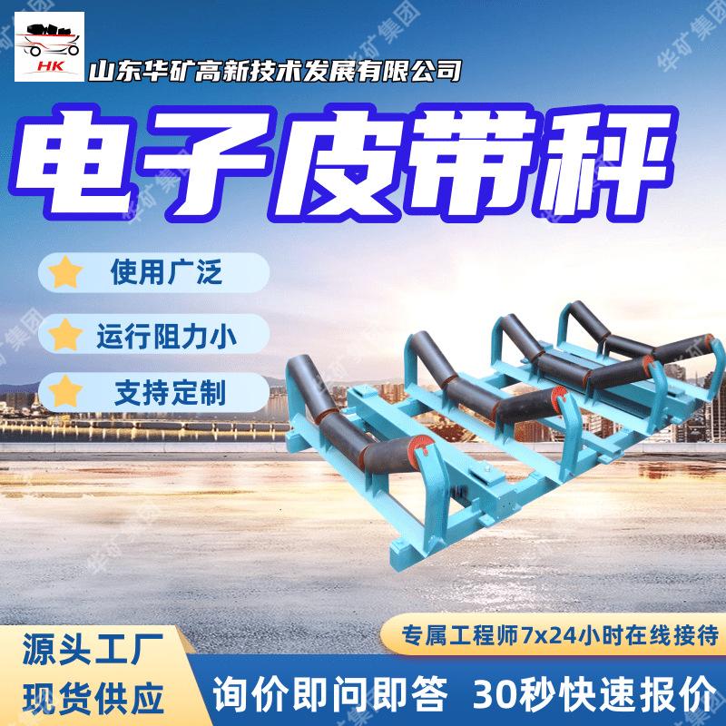 电子皮带秤 (3)_副本