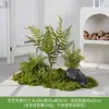 Musgo Sintético Decoración Suave para Interiores Conjunto de Micro Paisaje Combinación Exhibición en Ventana Pasillo Musgo Artificial Plantas Verdes Arreglo de Paisajismo Decoración