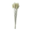Espigas de Trigo, Espigas de Arroz, Trigo, Espigas de Trigo, Flores Secas, Decoração de Plantas Naturais, Adereços para Fotos, Cesta de Flores para Abertura, Arranjo de Flores, Buquê Seco