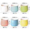 Fábrica de cerâmica por atacado vaso de flores casa criativa carnudo pequeno vaso de flores simples Phalaenopsis Green Glaze Combinação de plantas em vasos