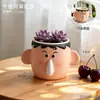 Vasos de flores criativos e peculiares, recipientes personalizados para jardinagem em varandas de casa, ornamentos decorativos em vasos para escritório
