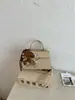 Bolsa Pequena Retro de Alta Qualidade Transfronteiriça Nova Moda Feminina Nicho Portátil Estilo Kelly Versátil Bolsa de Ombro Transversal