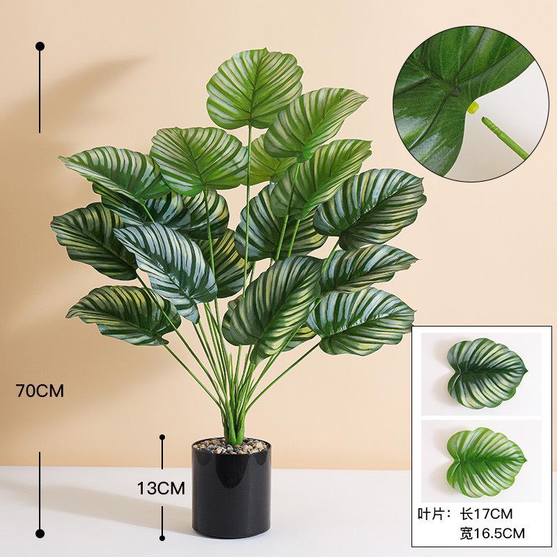 c74bf593-6aaa-45e3-ab65-cf3a90f93d9a.jpe