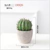 Nórdico ins Cacto Planta em vaso Planta verde Sala de estar Decoração de casa Folha de tartaruga Bola de cacto Planta de simulação de flor artificial