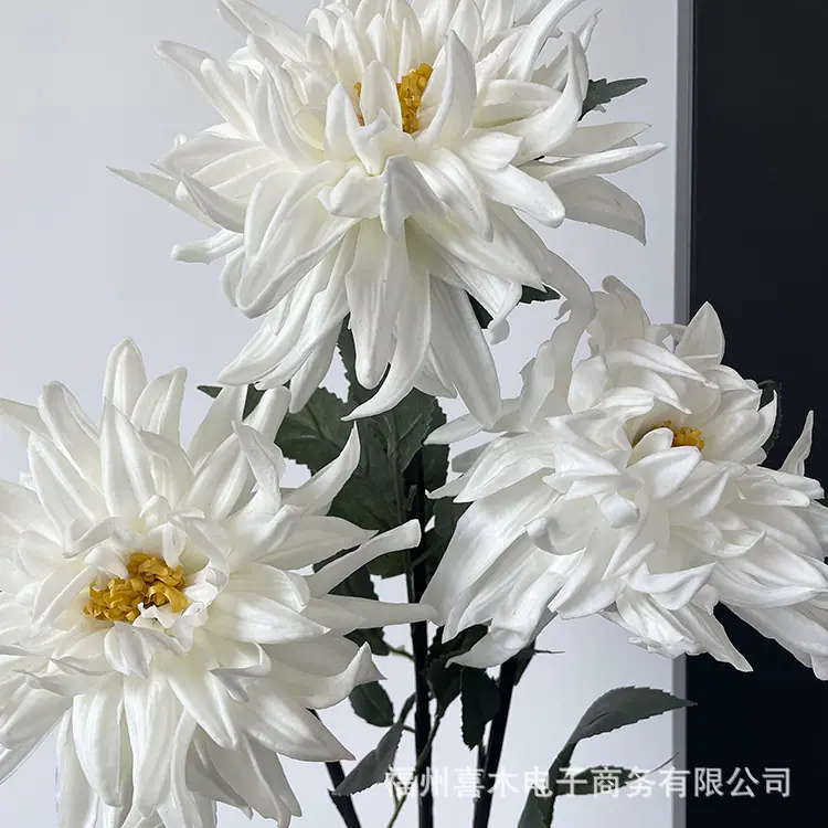 photo-output_4 4.JPG