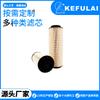 Adecuado para Filtro Diésel Daf 2277128 Filtro de Combustible Filtro de Combustible Filtro Diésel