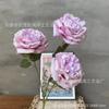 2024 Nova Peônia de Seda Dourada Rosa Austin Espaço Interno Floricultura Macia Casamento Flor Organizar Adereços Flores Falsas