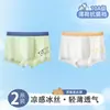 Ropa interior para niños de 10 a 15 años, calzoncillos bóxer tipo A de seda helada para bebé, estilo fino de verano para niños y bebés