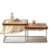 Mesa de Centro de Segunda Mano para Sala de Estar, Juego de Mesas de Té para Apartamento Pequeño, Estilo Ins Moderno Tendencia Lujo Ligero Ratán Simple Acero Inoxidable