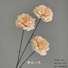 Arranjo de Chão com Flores Artificiais Cor de Champanhe, Rosa de Casamento, Hortênsia, Material de Flores para Corredor de Teto, Arranjo de Decoração para Auditório