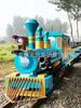 Trilha Turística Trem Trem do Mar de Flores Parque Carro de Passeio ao Ar Livre Grande Equipamento de Diversão Fábrica Personalizada
