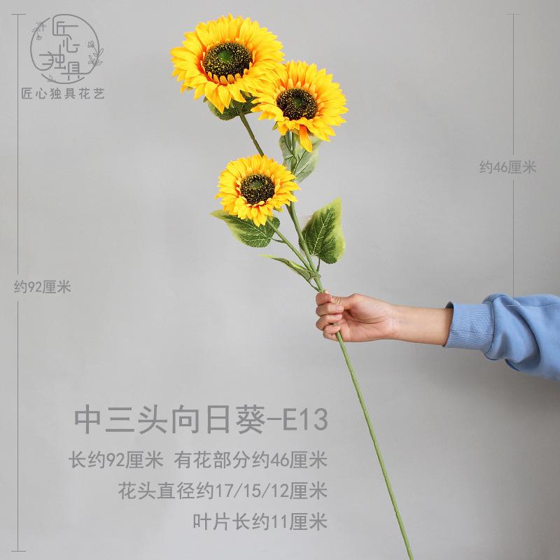 中三头向日葵 E13