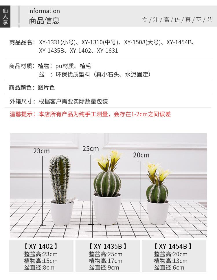仙人掌小盆栽_04.jpg