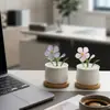 Vidrio Violeta Zibo Flor Artificial Planta Verde Regalo del Día de la Madre Planta en Maceta Transfronteriza Decoración Arte Floral de Alta Gama