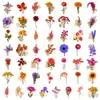 50 piezas de pegatinas de ramo de flores secas estilo vintage, flores eternas artificiales de PET transparente, pegatinas de material floral de lavanda y gypsophila