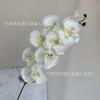 Phalaenopsis de otoño de 8 cabezas decoración para el hogar flor artificial boda flor para vestir el techo accesorios de fotografía al aire libre Flor
