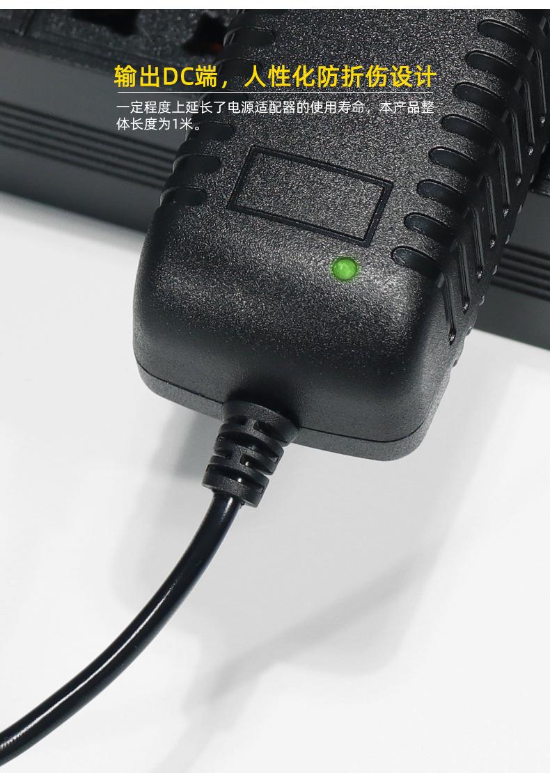 12V2A_08