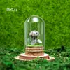 Venta al por mayor de fábrica Piedra Bruta de Cristal Natural Muestra de Mineral para Niños Divulgación Científica Enseñanza Piedra Semipreciosa Adorno de Escritorio para el Hogar