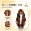Peruca Completa para Mulheres, Cabelo Artificial Cor Caramelo, Invisível e Sem Marcas, Volumosa, Cabelo Longo Cacheado, Conjunto Completo de Peruca