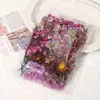 Kit de Materiales Florales Eternos para Ramo de Flores Secas DIY, Accesorios Decorativos Hechos a Mano, Materiales Florales y Accesorios Coloridos Mixtos con Temática de Sanación
