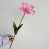 Tulipa de Cabeça Única, Ramo Único, Tulipa de Pétala, Decoração de Salão de Casamento, Balão de Flor, Decoração Floral Suave para Festa em Estoque