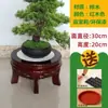 Estante de Flores para Sala de Estar Interior, Acuario de Madera Maciza de Pie, Bonsái de Madera, Estante para el Hogar Estilo Chino, Estante Pequeño de Almacenamiento de Pie Bajo