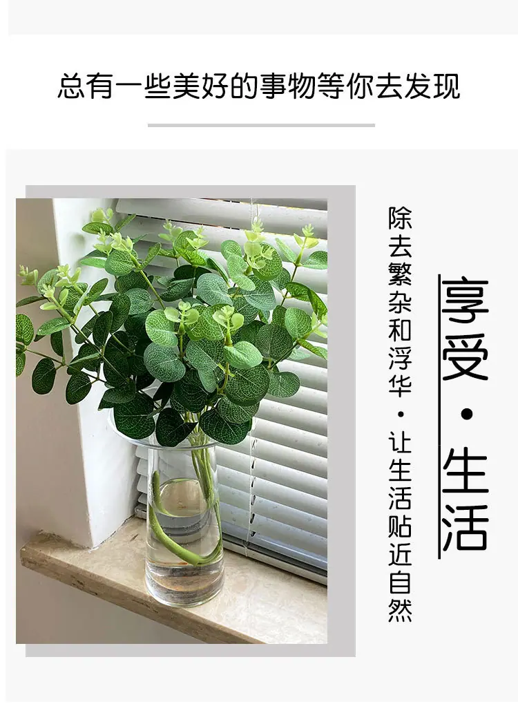 把束尤加利_08.jpg