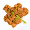 Suministro de fábrica ramas de simulación hojas de ginkgo decorativas ramas falsas plástico plantas verdes grandes Red popular venta al por mayor