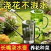 Regadera para uso doméstico con pico largo, regadera de jardinería para plantas verdes, plantas en maceta, suculentas y cuidado de flores, una herramienta mágica para regar flores, regadera pequeña