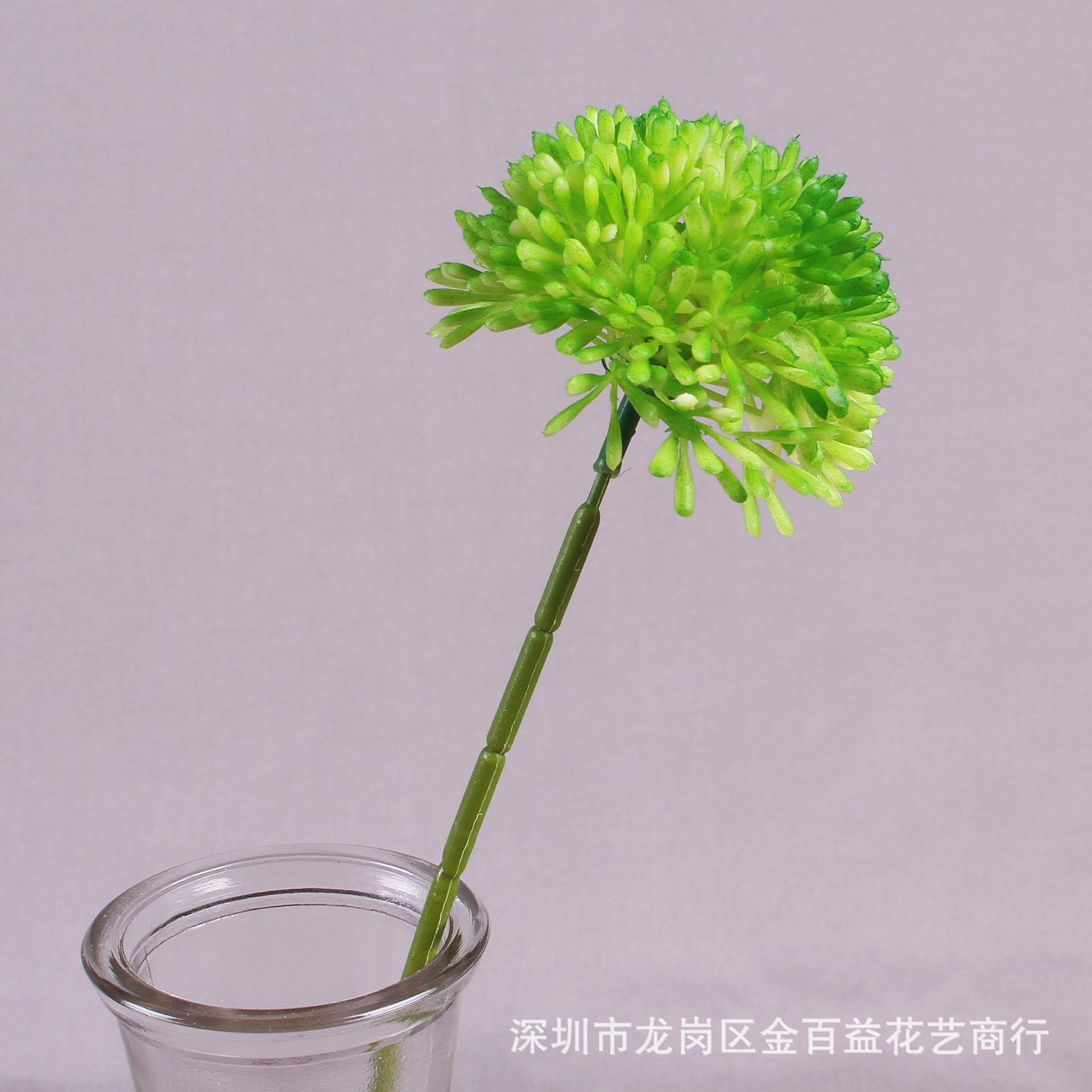 IMG_8567_副本.jpg
